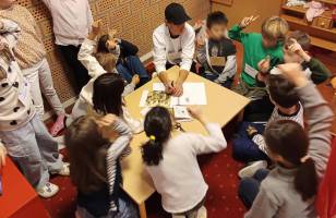 Activités Chat Perché